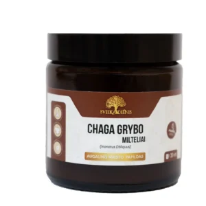 chaga grybo milteliai