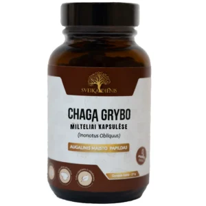 chaga grybo milteliai kapsulese